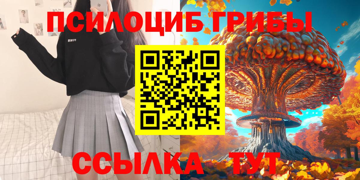 Псилоцибиновые грибы Psilocybine cubensis Кимовск